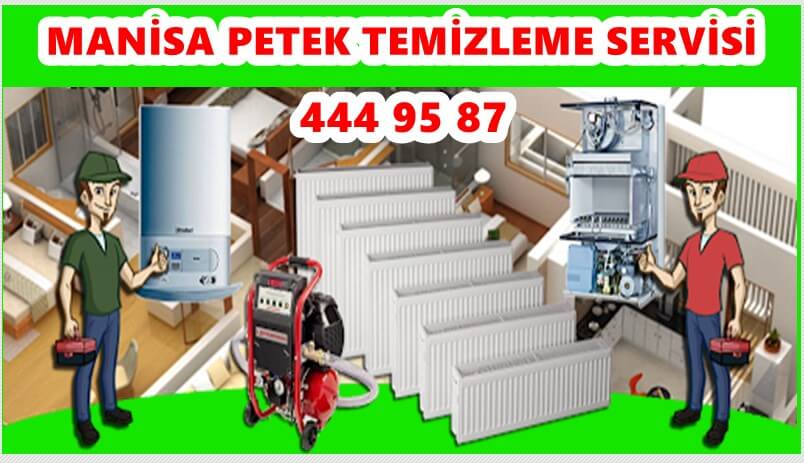 manisa-petek-temizleme-servisi